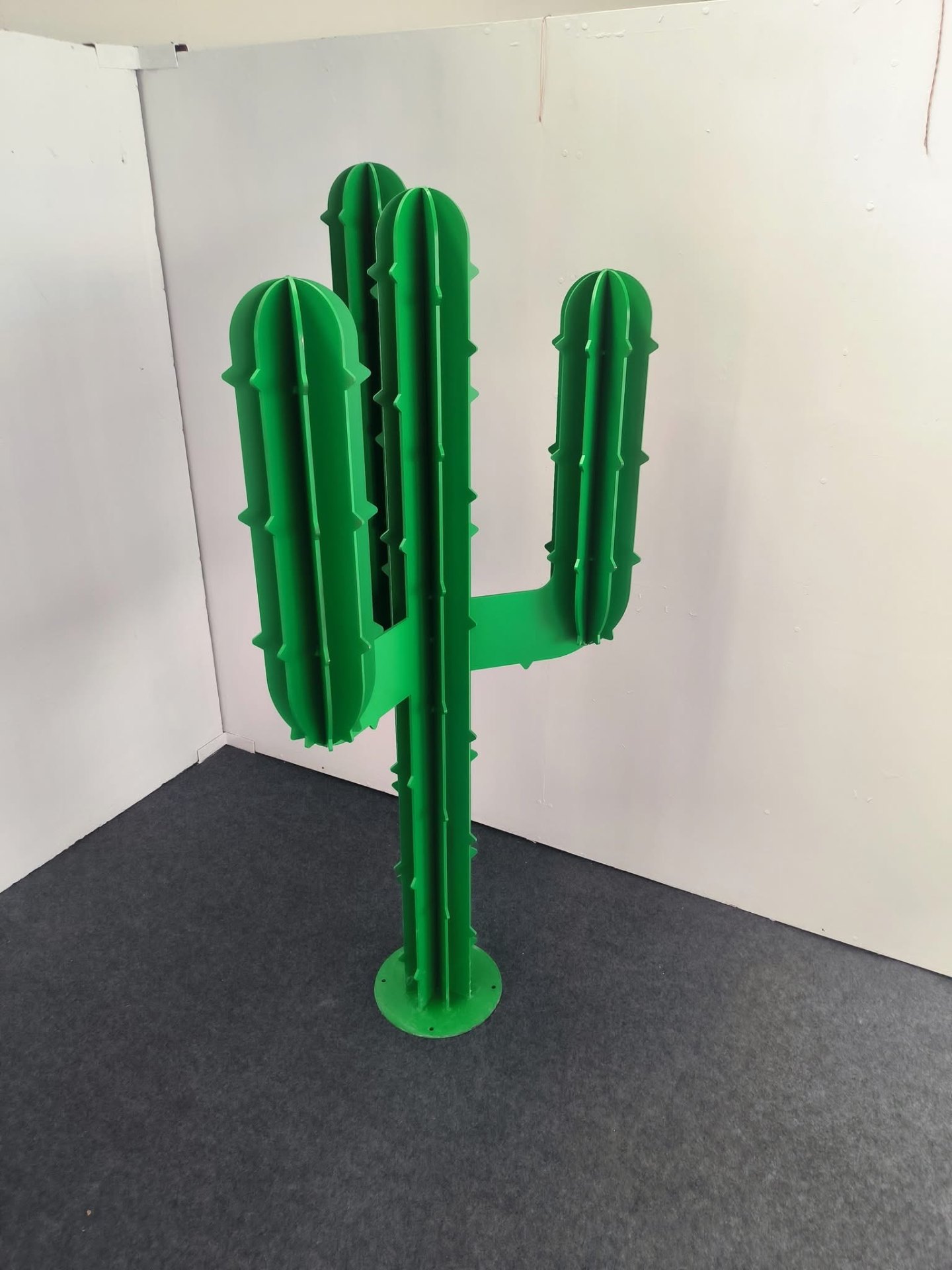 Cactus décoratif vert grand format